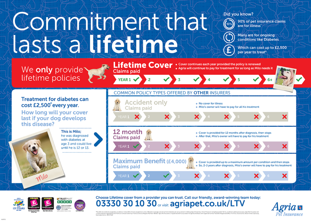 Cat Insurance CWVC Limited