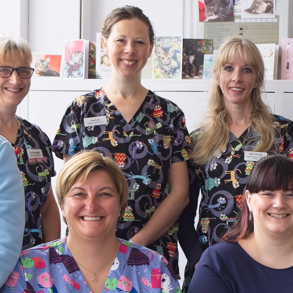 Meet the Team