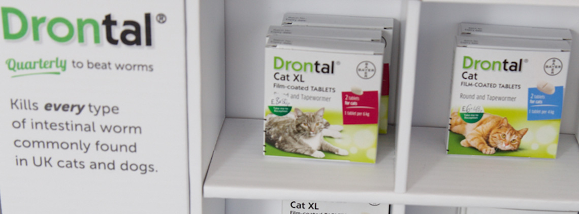 Treating Cat Fleas Worms In Cats Preventing Illness