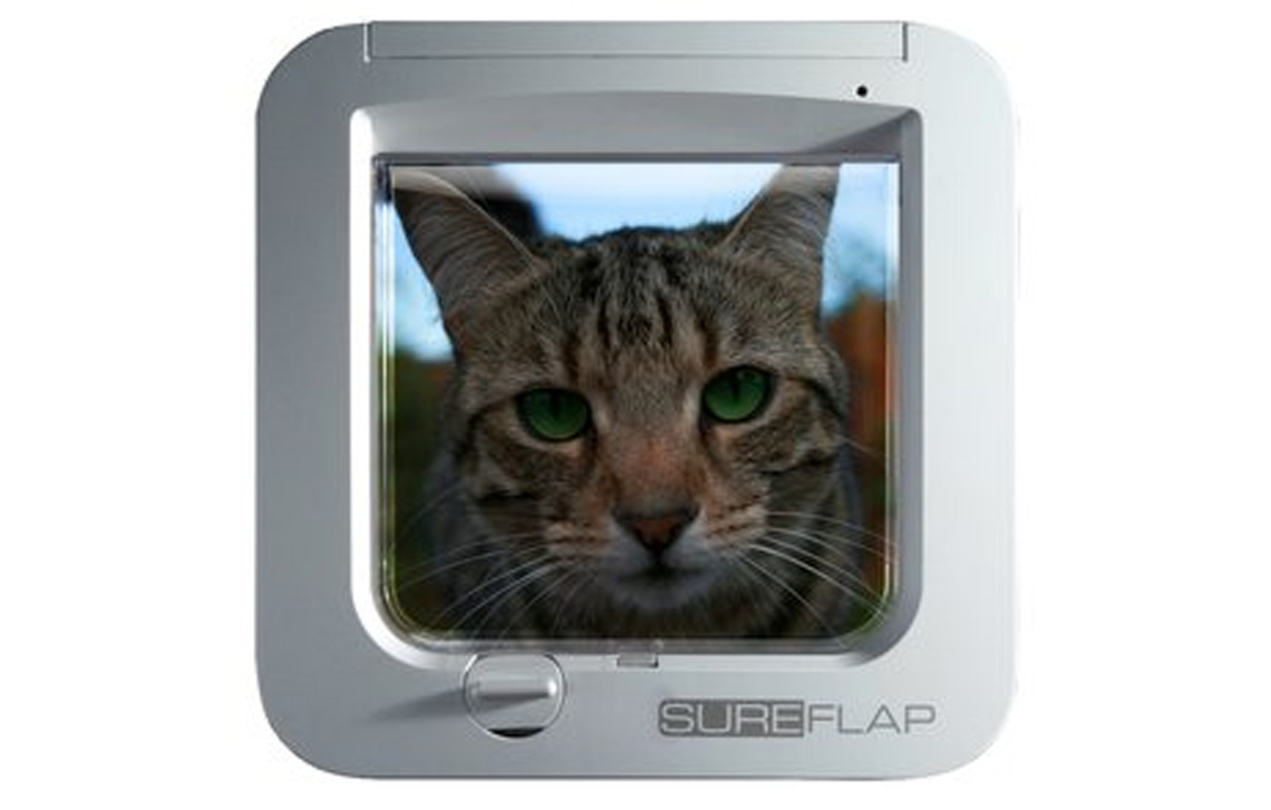 SureFlap Microchip Cat Flap & 25% off Microchipping