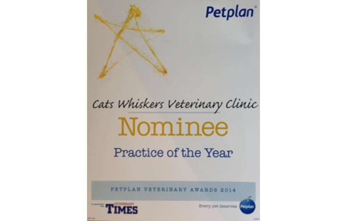 Petplan NOMINEE: “Practice of the Year”