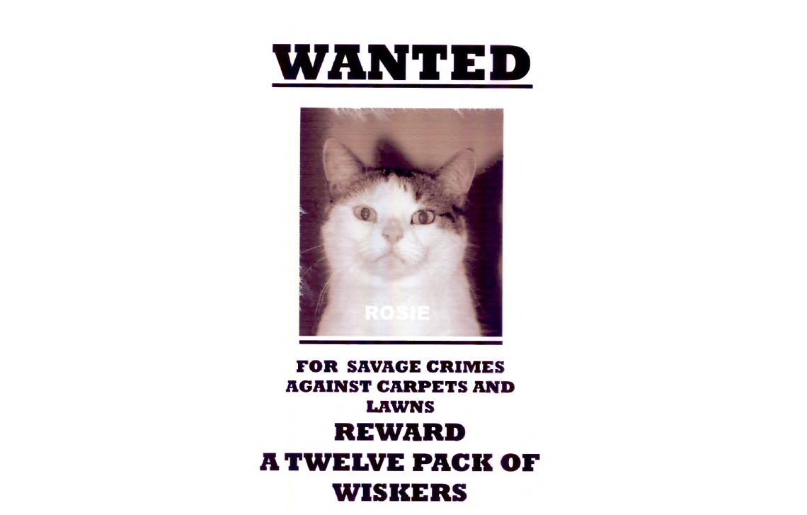 Rosie – WANTED – for savage crimes…