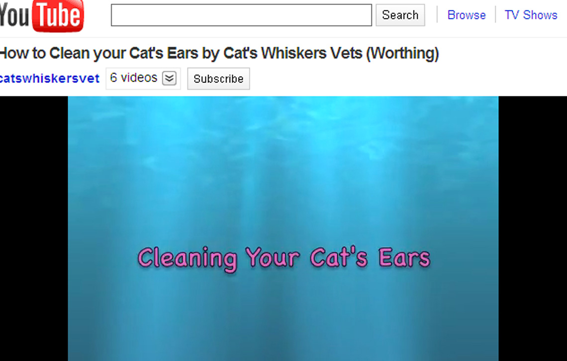 Cat Care Videos – Cat’s Whiskers on You Tube