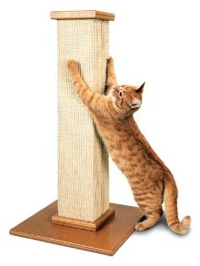 CAT SCRATCH POST