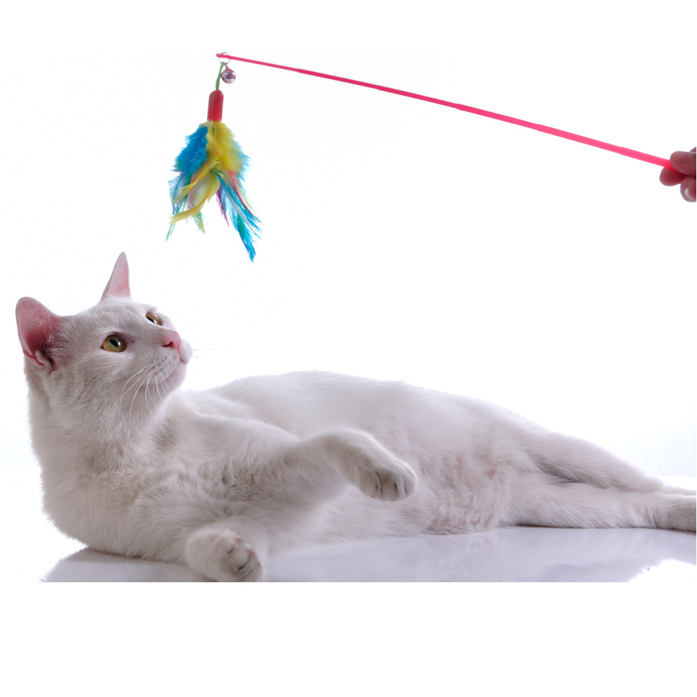 cat-feather-toy