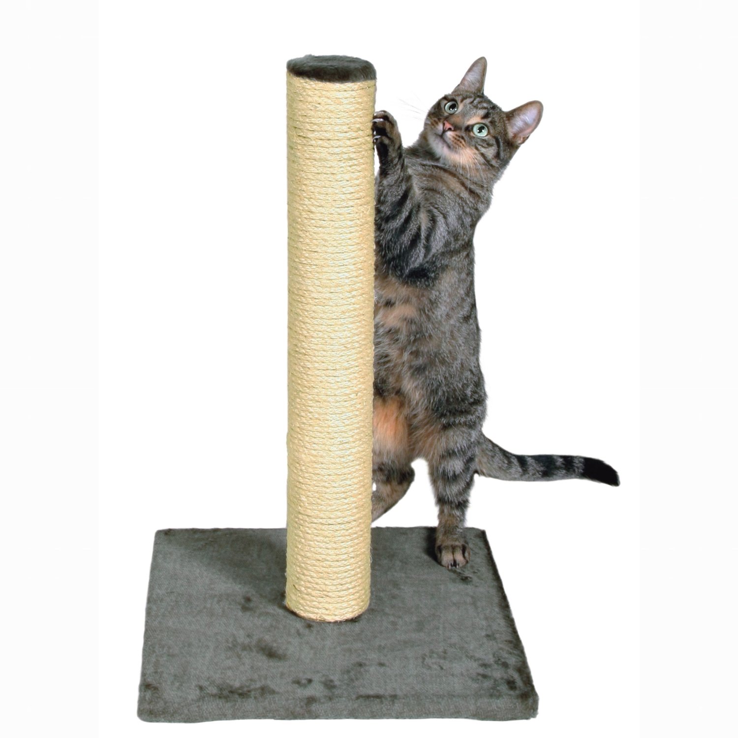 cat-scratching-post