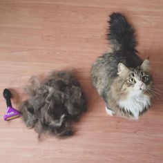 furminator