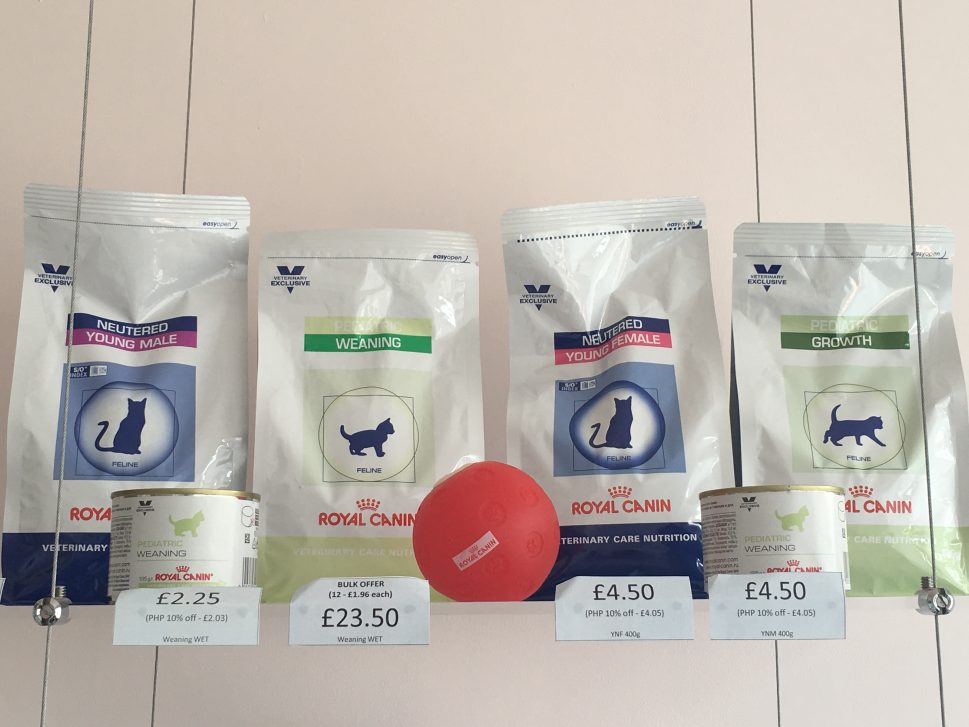 Kitten Diets CWVC Limited
