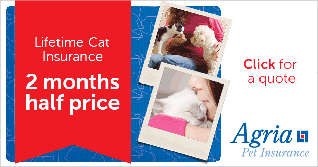 Lifetime Cat Insurance. 2 months half price.
