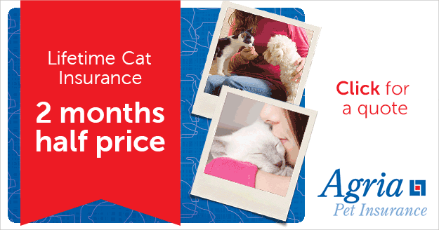 Lifetime Cat Insurance. 2 months half price. Lifetime Cat Insurance. 2 months half price.
