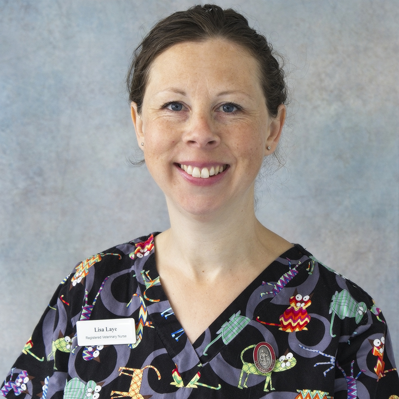 Cat's Whiskers Veterinary Clinic Lisa Laye
