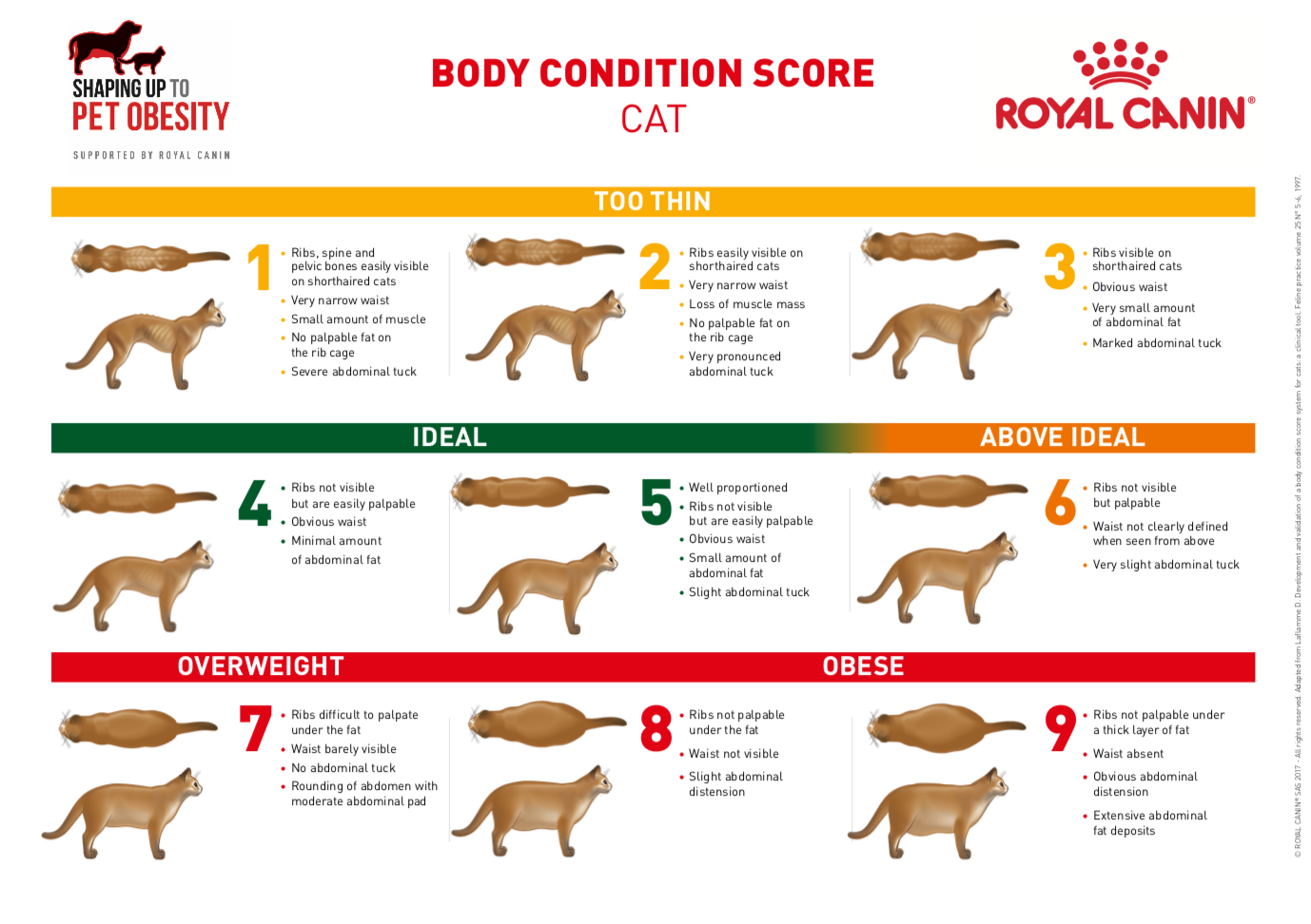 Body Condition Score CWVC Limited