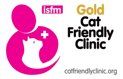 Worthing Vet Cat Friendly Clinic"